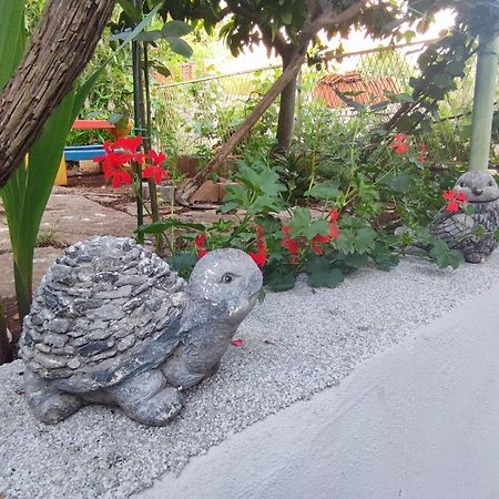 Apartment With Garden Vela Luka Εξωτερικό φωτογραφία