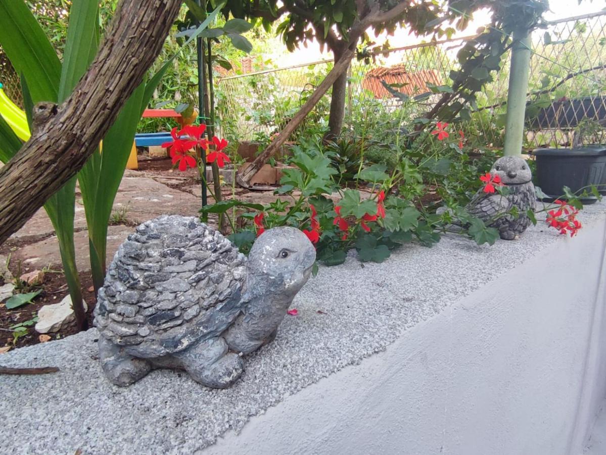 Apartment With Garden Vela Luka Εξωτερικό φωτογραφία